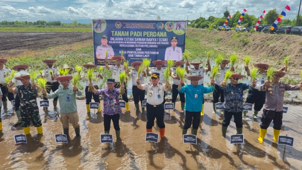 How To Take Better Concert Pictures in 30 Seconds