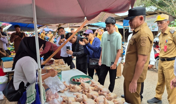 How to Make Friends as a Grown-Up