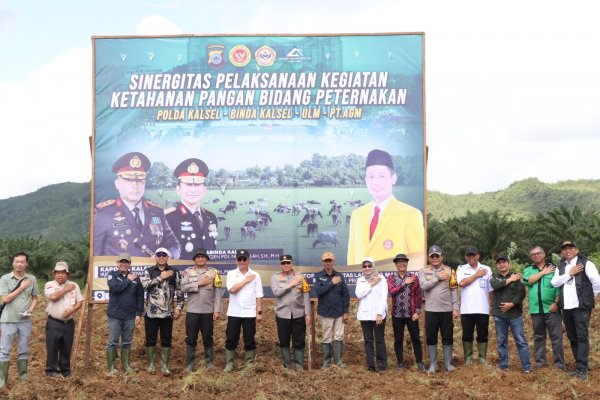 How to Make Friends as a Grown-Up